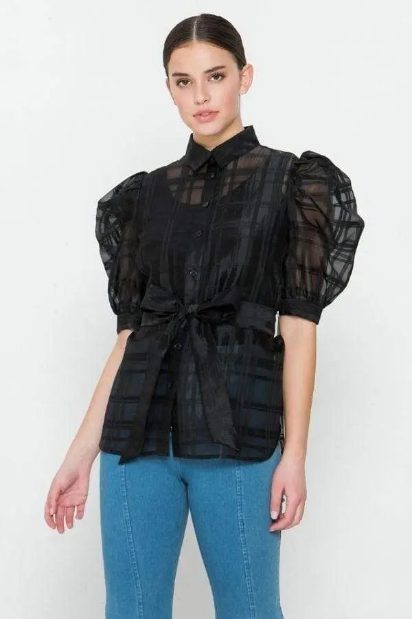 A See-thru Mini Length Organza Top Blue Zone Planet