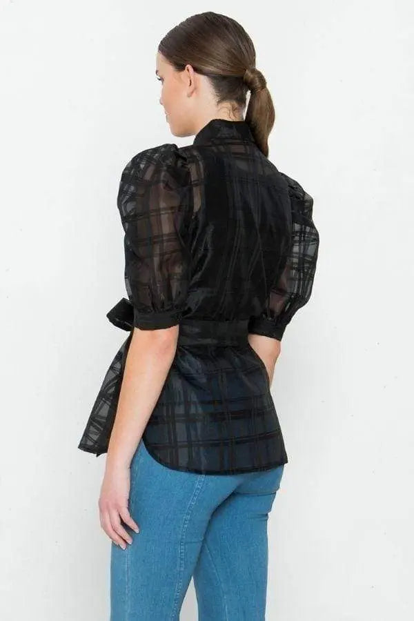 A See-thru Mini Length Organza Top Blue Zone Planet