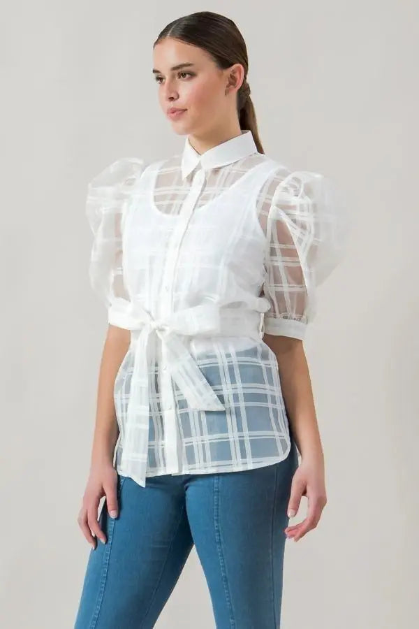 A See-thru Mini Length Organza Top Blue Zone Planet