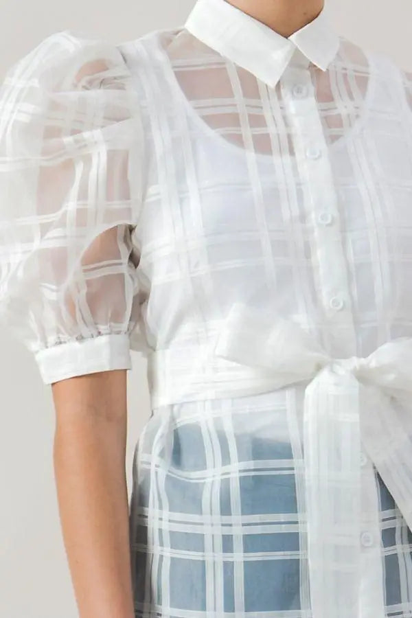 A See-thru Mini Length Organza Top Blue Zone Planet