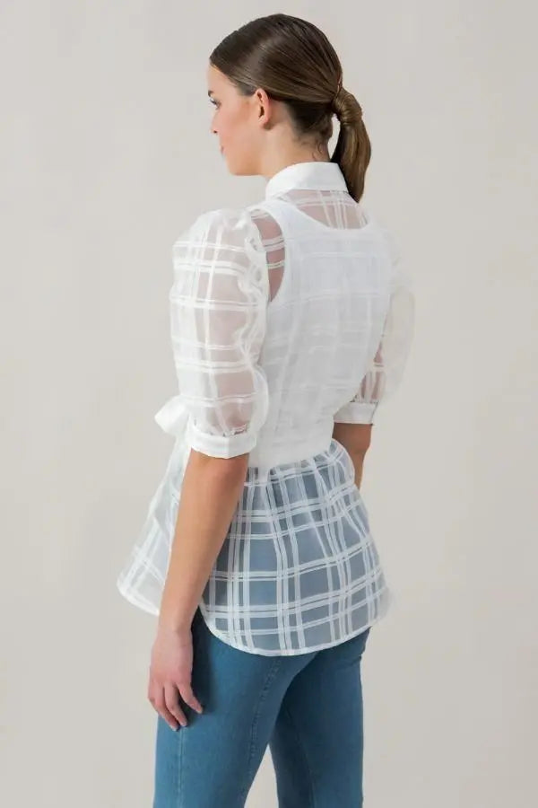A See-thru Mini Length Organza Top Blue Zone Planet