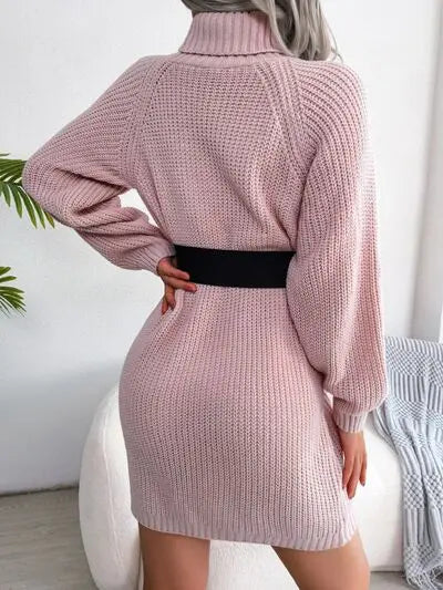 Blue Zone Planet |  Decorative Button Turtleneck Sweater Dress BLUE ZONE PLANET
