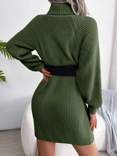 Blue Zone Planet |  Decorative Button Turtleneck Sweater Dress BLUE ZONE PLANET