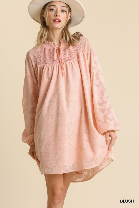 Jacquard Raglan Smocked Tie Neck Yoke Dress Blue Zone Planet
