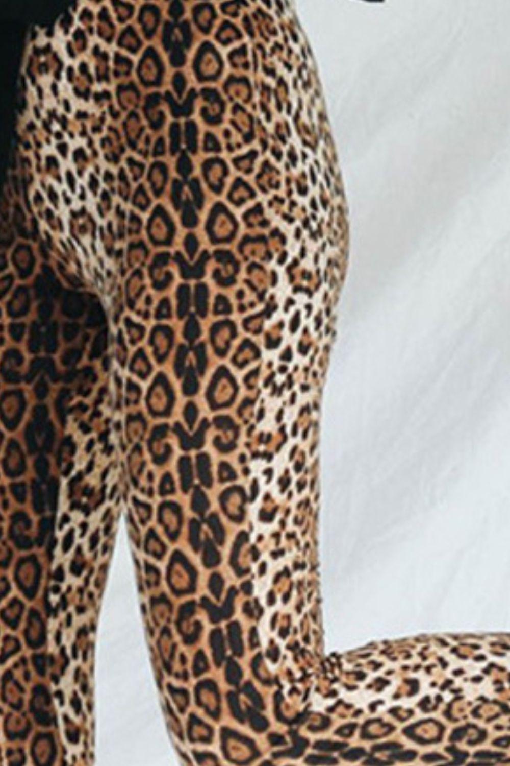 Leopard Print Flare Leg Pants BLUE ZONE PLANET