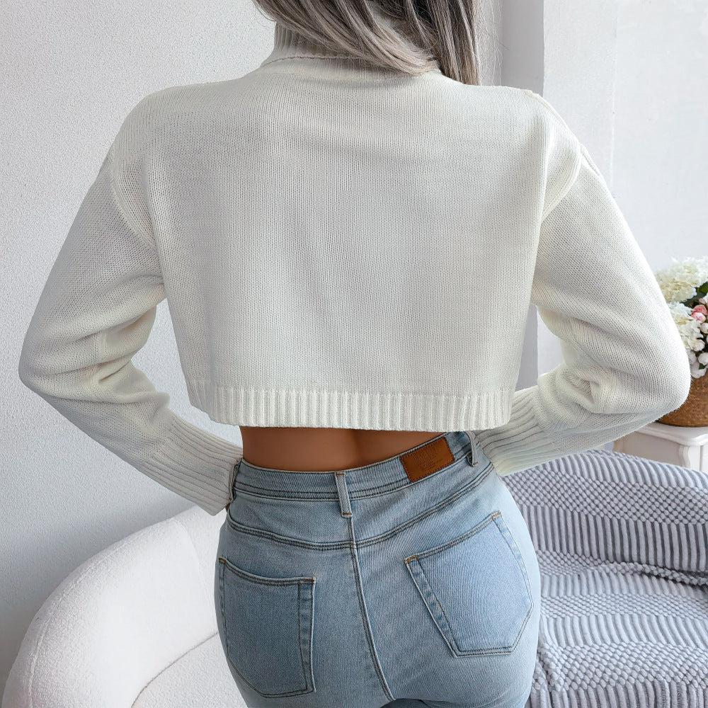 Mixed Knit Turtleneck Cropped Sweater BLUE ZONE PLANET