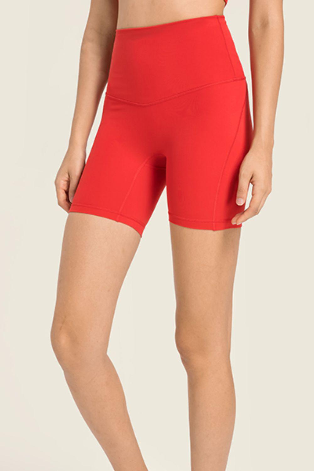 Seamless High-Rise Wide Waistband Biker Shorts BLUE ZONE PLANET