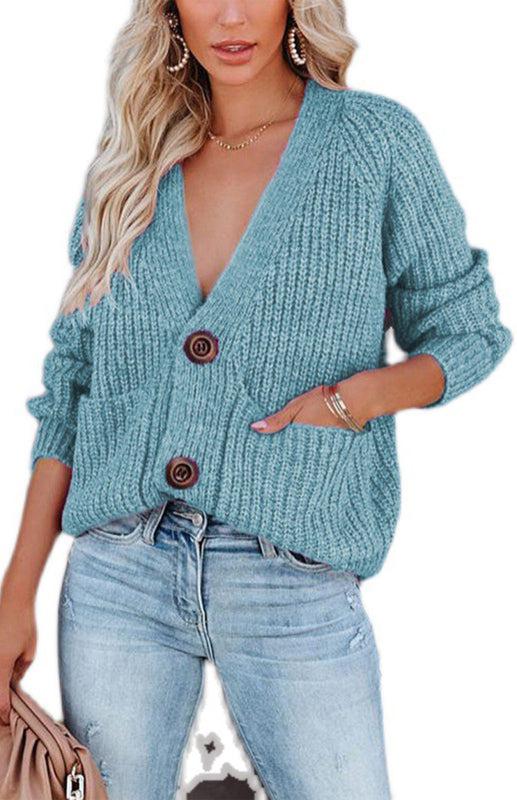 Solid V-Neck Single Breasted Long Sleeved Sweater BLUE ZONE PLANET