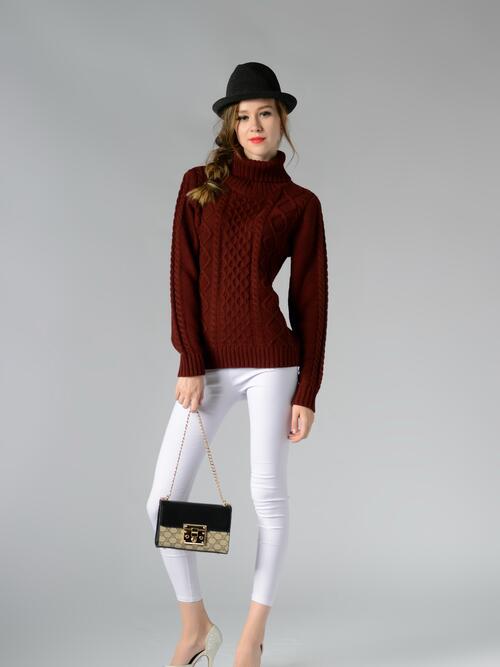 Cable-Knit Turtleneck Long Sleeve Sweater BLUE ZONE PLANET