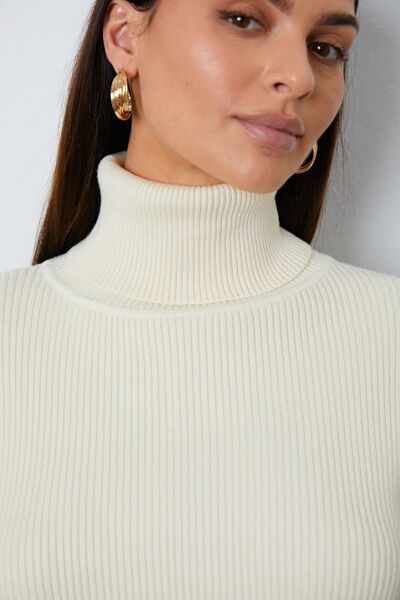 Turtleneck Dropped Shoulder Top and Pants Sweater Set Trendsi