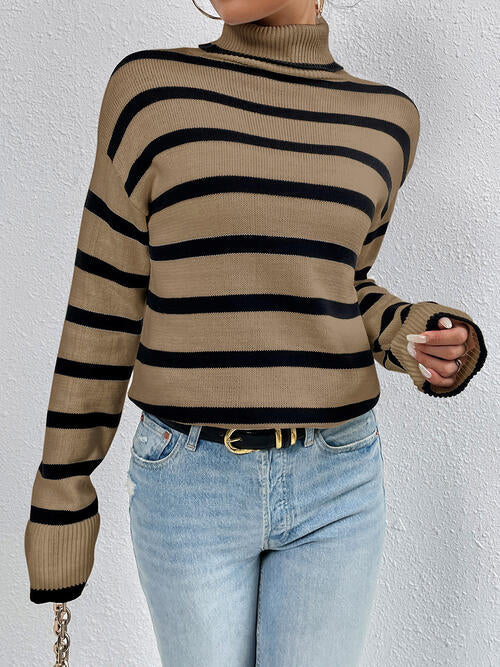 Striped Turtleneck Long Sleeve Sweater BLUE ZONE PLANET