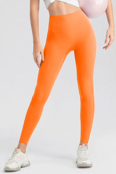 Blue Zone Planet |  High Waist Skinny Active Pants BLUE ZONE PLANET