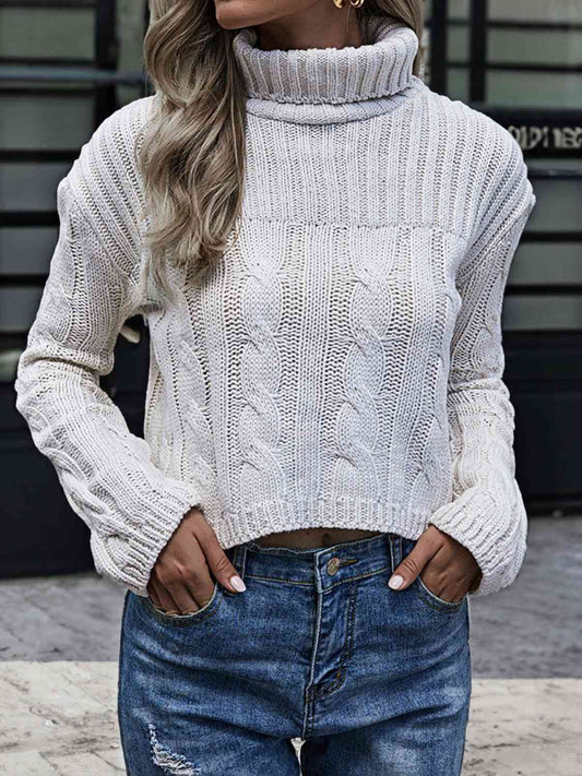 Cable-Knit Turtleneck Sweater BLUE ZONE PLANET