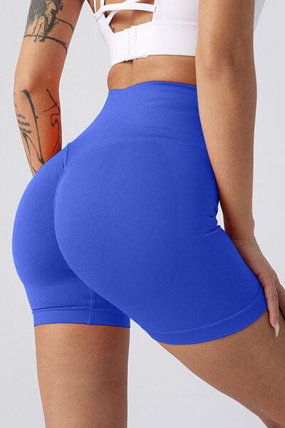 Blue Zone Planet |  High Waist Wide Waistband Active Shorts BLUE ZONE PLANET